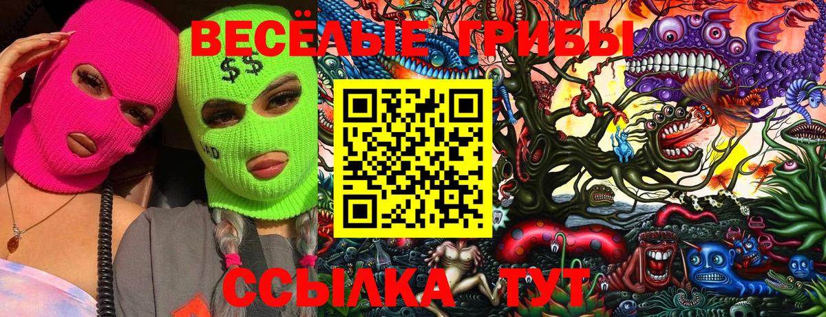 Галлюциногенные грибы Psilocybine cubensis Выборг