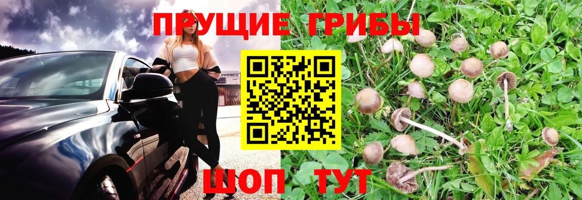 Канабис  NBOMe  Выборг  ГАШ  Вход с VPN  КОКАИН  Мефедрон кристаллы 